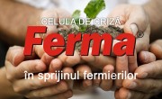 celula de criza ferma