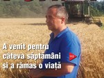 Citeşte revista Ferma, ediţia 1-14 august 2016!