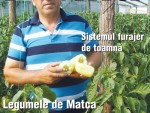 Citeşte revista Ferma, ediţia 15-30 septembrie 2015!