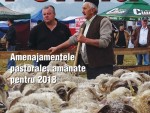 Citeşte revista Ferma, ediţia 1-15 noiembrie 2015!