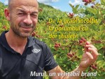 CITEȘTE Revista FERMA, ediția 1-14 august 2018!