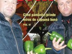 A apărut revista Ferma – ianuarie 2014