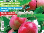 A apărut revista Recolte Bogate – octombrie 2013