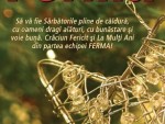 CITEŞTE revista FERMA. A apărut ediţia 15-31 decembrie 2016!