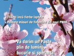 Citeşte revista Ferma, ediţia 1-15 aprilie 2015!