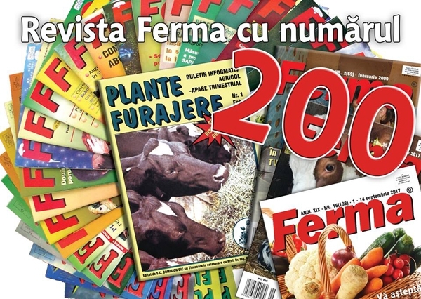 FERMA-200_b