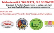 organizatori tabara geoagiu