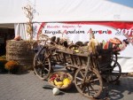 „Apulum Agraria” a numărat douăzeci de ediţii