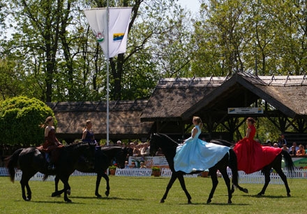 Demonstraţie de măiestrie hipică la expoziţia zootehnică din Ungaria