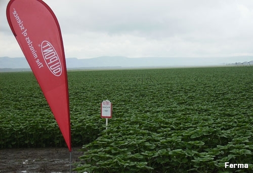 Cine ar fi agricultorul român cu cea mai mare fermă din Uniunea Europeană?