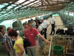 Buzău: Primele două cooperative agricole au devenit funcţionale