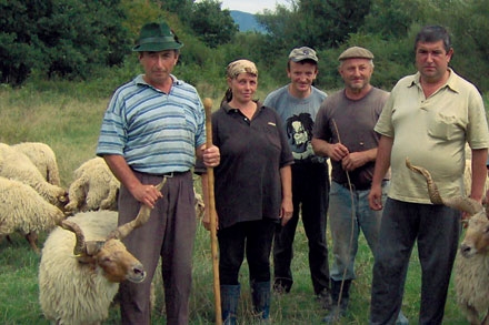 Crescători de ovine raţca