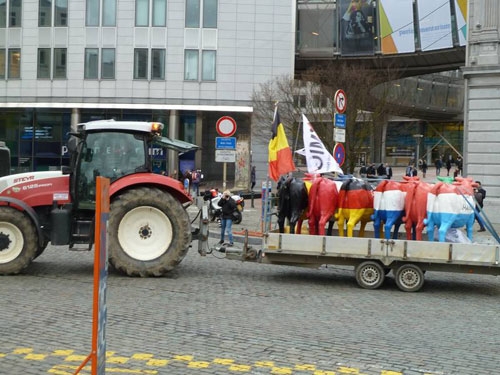 protest-la-bruxelles_b