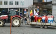 protest-la-bruxelles