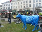 Protest cu tractoare şi vaci în faţa Parlamentului European, în ultima zi de cotă. Ce cer producătorii de lapte din UE ?