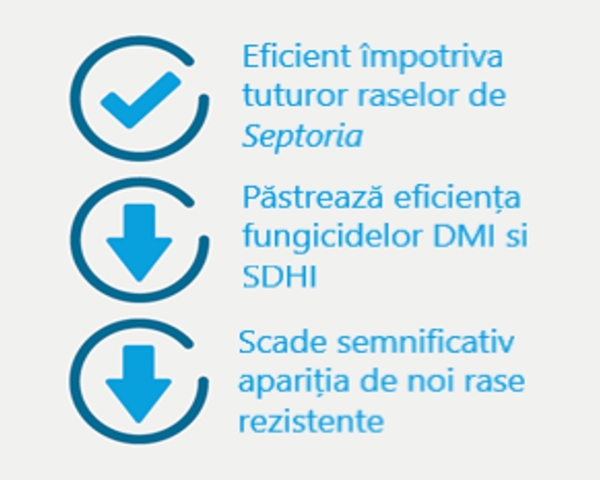 Adama - eficienta impotriva tuturor raselor de septoria_b