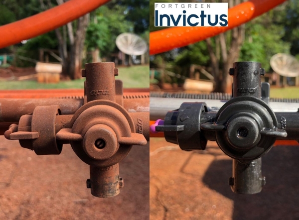 Adjuvant Invictus 1_b