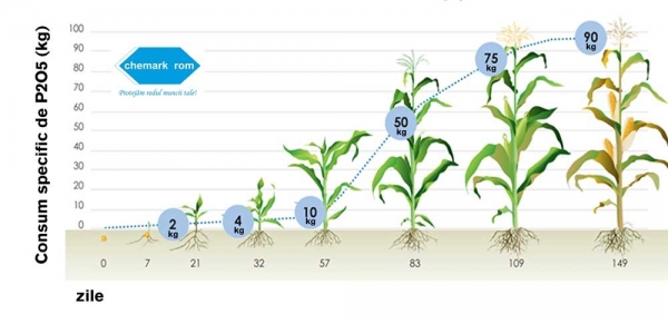 afosfor-consum_b