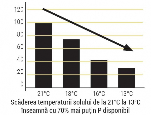 ascaderea-temperaturii-fosfor_b