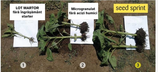 aseedsprint-comparatie-1_b