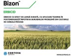 Recomandări CORTEVA pentru combaterea buruienilor din cultura de cereale păioase