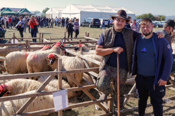 Breaza, Regina Turcanelor, Expozitie ovine Totesti 2021 (3)_b