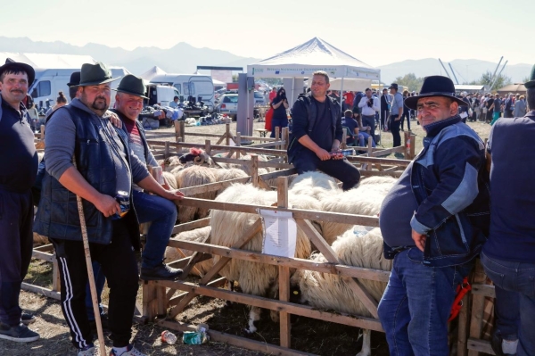 Breaza, Regina Turcanelor, Expozitie ovine Totesti 2021 (4)_b