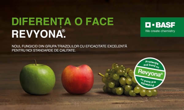 Diferenta o face Revyona_b