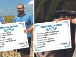 Fermierii campioni la rapiță din județul Dolj