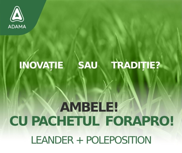 foraprop-pachet_b