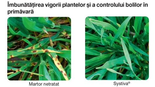 imbunatatirea-vigorii-plantelor_b