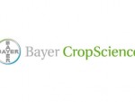 Nunhems are o nouă imagine - Bayer CropScience Vegetable Seeds