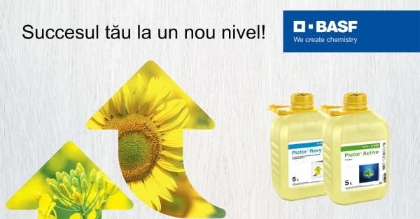 Pictor campanie BASF_b