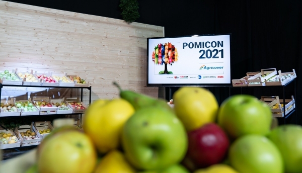 Pomicon 2021 (1)_b