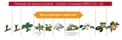 sercadis-aplicare-mar_o_b