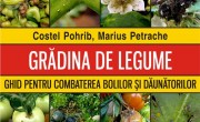 Gradina-de-legume_nou