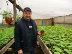 Galaţi: Plantatul în solar a întârziat cu două săptămâni