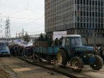 Protestul agricultorilor la Bruxelles: sute de tractoare, mii de litri de lapte şi revoltă