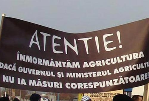 Crescătorii de bovine şi cei de ovine susţin protestele LAPAR