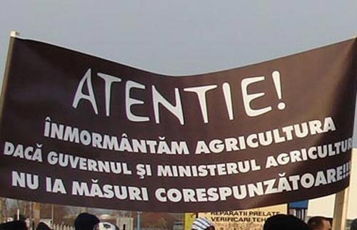 Crescătorii de ovine/caprine nu protestează