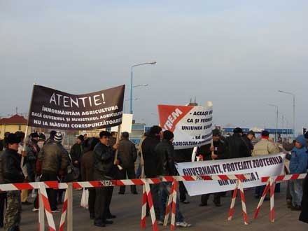 proteste crescatori taurine