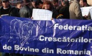 Proteste fermieri