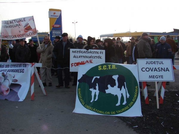 Proteste sindicat taurine