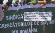 Proteste crescători de animale