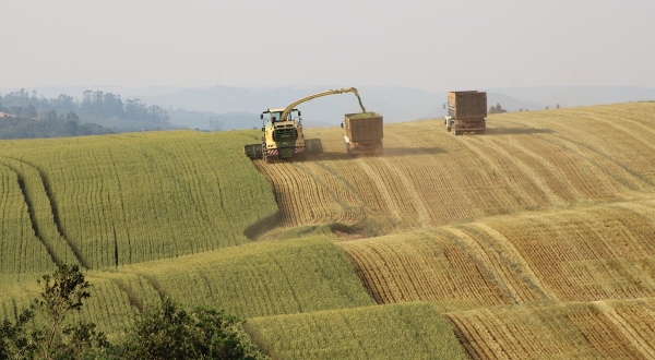 Krone caută fotografii pentru calendarul 2023