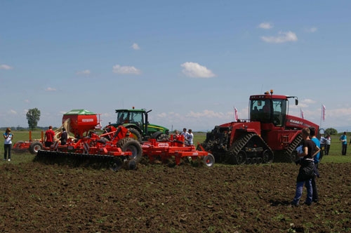 Maschio-In-Campo-2012