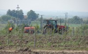 Producţie agricolă