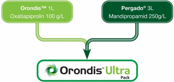 Schema Orondisâ„¢ Ultra Pack_b