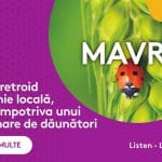 1280x720px mavrik o 1