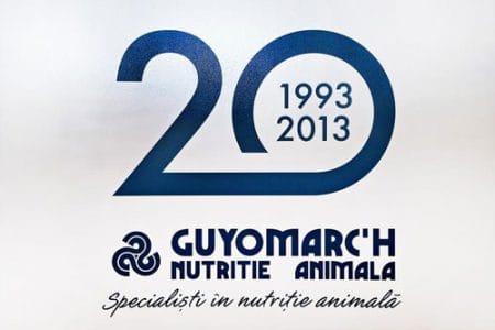20 de ani guyomarch o 1